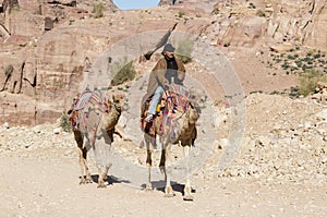 Petra, Jordan Ã¢â¬â December 25th, 2015: Bedouin man riding a camel